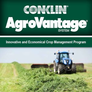 Alfalfa Trifold Brochure