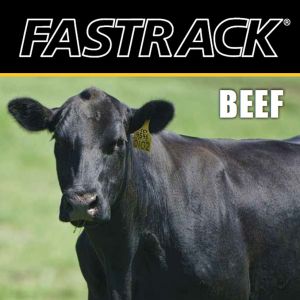 Fastrack® Beef Trifold Brochure