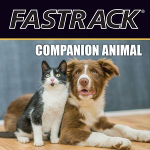 Fastrack® Companion Animal Tri-fold Brochure