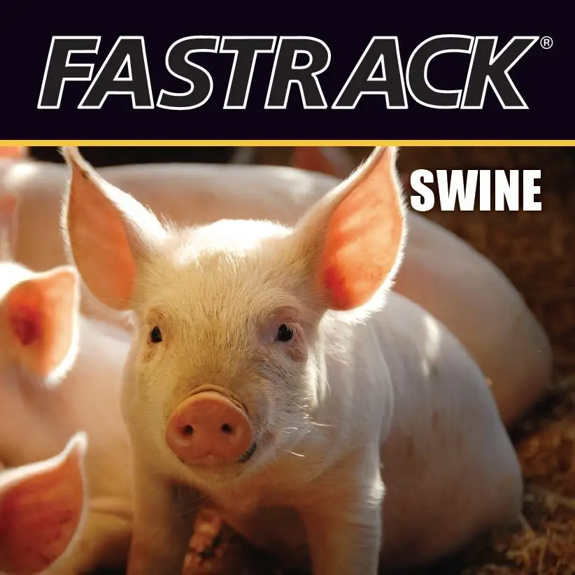 Fastrack® Swine Tri-fold Brochure
